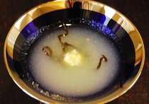 冬ガンの冷製ポタージュ