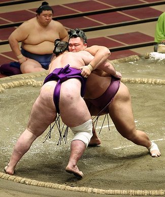 朝乃山、栃ノ心を下し６連勝　秋場所９日目