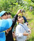 ブルーベリー甘くておいしいよ　滑川で園児が摘み取り体験