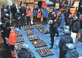 冬の味、ナガラモお待たせ！　氷見魚市場で３年ぶり競り