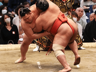 朝乃山十両優勝に望み　大相撲春場所１４日目