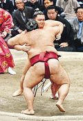 朝乃山、粘り発揮できず　総評