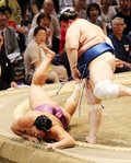朝乃山、碧山に敗れ負け越し　名古屋場所１３日目