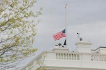 トランプ氏、教皇葬儀参列へ