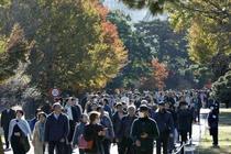 皇居・乾通り２９日から公開