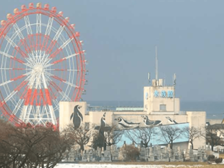 海の中で異変か　どうした富山湾<br />魚津水族館の名物館長に聞く（上）