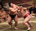 朝乃山 力なく初日黒星　初場所、大栄翔に押し出される