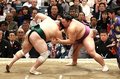 朝乃山連勝、佐田の海をはたき込み　春場所２日目
