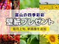 壁紙プレゼント（２０２４年７月）