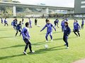 パス回し徹底、基本プレー確認　カターレ静岡キャンプ