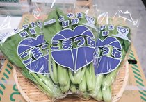 ＜旬を召し上がれ＞小松菜<br />ワインにもよく合う