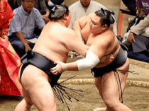 朝乃山2桁届かず、元大関対決で正代に完敗 大相撲秋場所14日目
