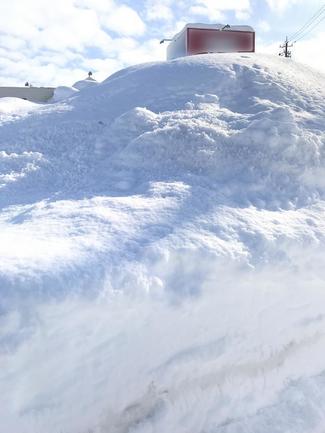 （56）新成人の皆さん、おめでとう！昨年は大雪でした…【やちやちが行く！！】