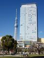 錦糸公園から東京スカイツリー(左)を望む=東京都墨田区