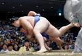 綱とり大の里１１連勝