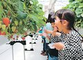 イチゴ甘くておいしいね　小矢部で園児ら収穫体験