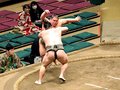 全勝の旭水野に土　大相撲夏場所１１日目
