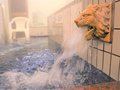 シンボルは「金のライオン」【サっぱり湯ったり＋（プラス）】２　高原鉱泉、格安のノンアルに駄菓子も