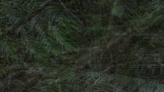 森の時間を編み込む／顧剣亨《Mori, Shades_dw_001》【金沢21世紀美術館・art report（8）】