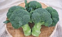 ＜旬を召し上がれ＞ブロッコリー<br />栄養満点の一品に