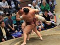 朝乃山３敗、Ｖ争い後退　大相撲秋場所１３日目