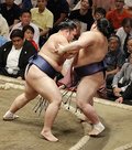 朝乃山、阿武咲押し出し連勝　秋場所２日目