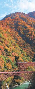 ＜とやまの紅葉２０２５＞黒部峡谷<br />晩秋の錦絵