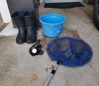 （62）ホタルイカすくいに行ってみた！【やちやちが行く！！】