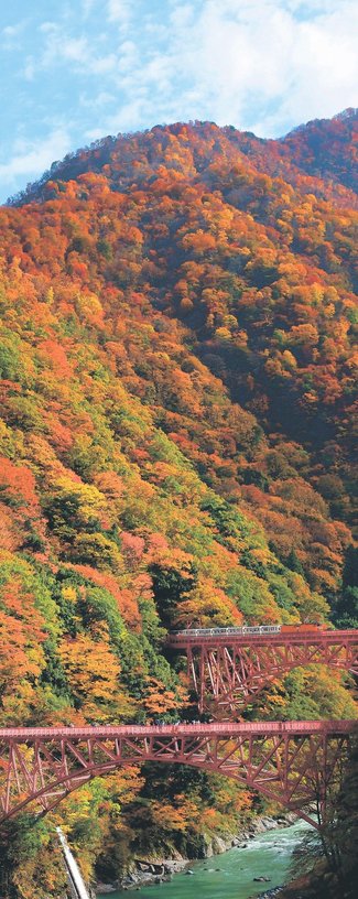 ＜とやまの紅葉２０２５＞黒部峡谷<br />晩秋の錦絵