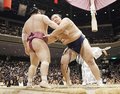 朝乃山、宝富士を寄り切り６勝目　秋場所８日目