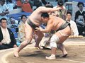 朝乃山、一気の寄り　大相撲名古屋場所９日目、勝ち越しまであと１勝