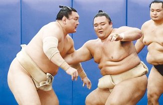 朝乃山、白鵬と１１番　勝利の２番は収穫
