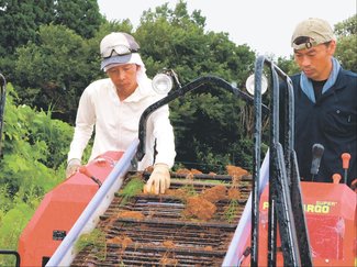 てくてく風土記<br />富山市山田地域（４）ジャガイモ栽培／地域ブランド再興へ