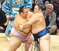 朝乃山「まだ終わってない」　３連敗も千秋楽へ気合