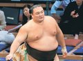 朝乃山「負けたくない」十両首位に完勝　大相撲九州場所１４日目
