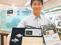 イタセンパラのつがい、錫のはし置きに ひみラボ水族館が能作とコラボ、26日に感謝祭で販売