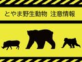 庄川でカモシカ目撃（１１日午後３時１５分ごろ）
