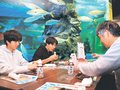 富山湾の旬を見て食べて　魚津水族館大水槽前ですし堪能