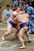 夏場所２日目、綱とり大の里連勝