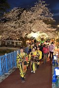 チンドン、富山でにぎやかに開幕　２年ぶり夜桜流し通常開催