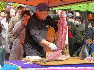 必見！氷見ブリ解体ショー【1/16up 富山のイベント・おでかけ情報】