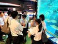 魚津水族館の魅力向上考える　魚津高生が地域課題解決のフィールドワーク
