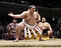 大の里、国技館で土俵入り初披露