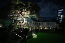 トランプ氏、財界人と懇談