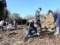 雑木伐採、展望台の眺めすっきり　氷見・臼が峰公園