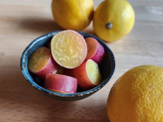 秋は呼吸器系ダメージに要注意！蜂蜜レモンで潤いプラス【休日のレシピ (47) 】