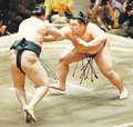 朝乃山６勝目、千代翔馬を寄り切り　初場所１２日目