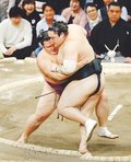朝乃山、隠岐の海を寄り切り５勝目　九州場所７日目