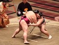 朝乃山、万全の相撲で１差追走　春場所１２日目
