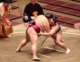 朝乃山、万全の相撲で１差追走　春場所１２日目